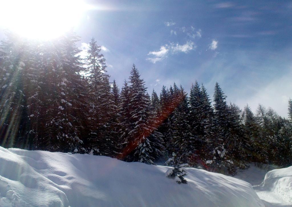 Alpenhaeuser Marcius ซอนเนนอัลเพอ นัสส์เฟลด์ ภายนอก รูปภาพ