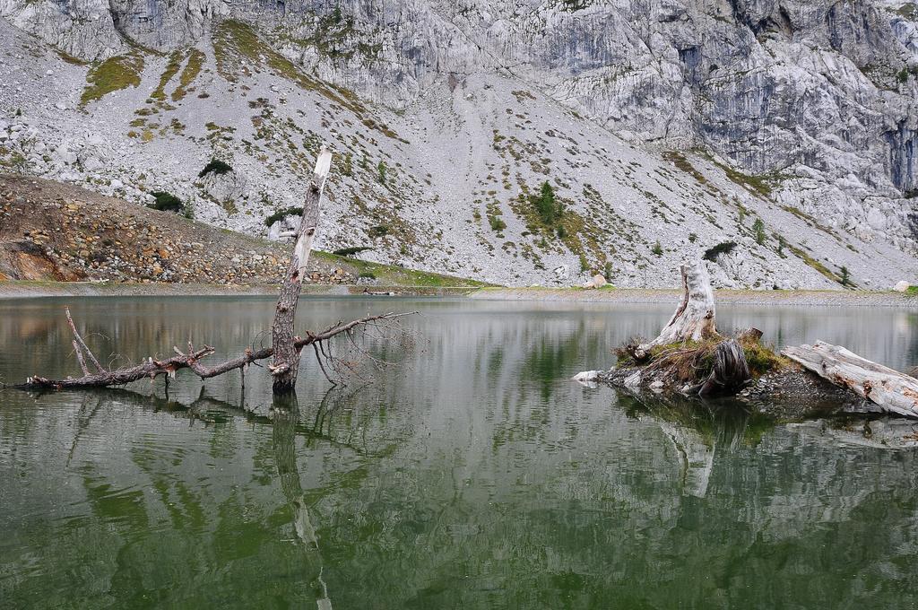 Alpenhaeuser Marcius ซอนเนนอัลเพอ นัสส์เฟลด์ ภายนอก รูปภาพ