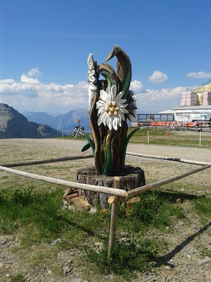 Alpenhaeuser Marcius ซอนเนนอัลเพอ นัสส์เฟลด์ ภายนอก รูปภาพ